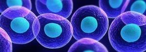 Stem Cells vrs. Immunosuppression?